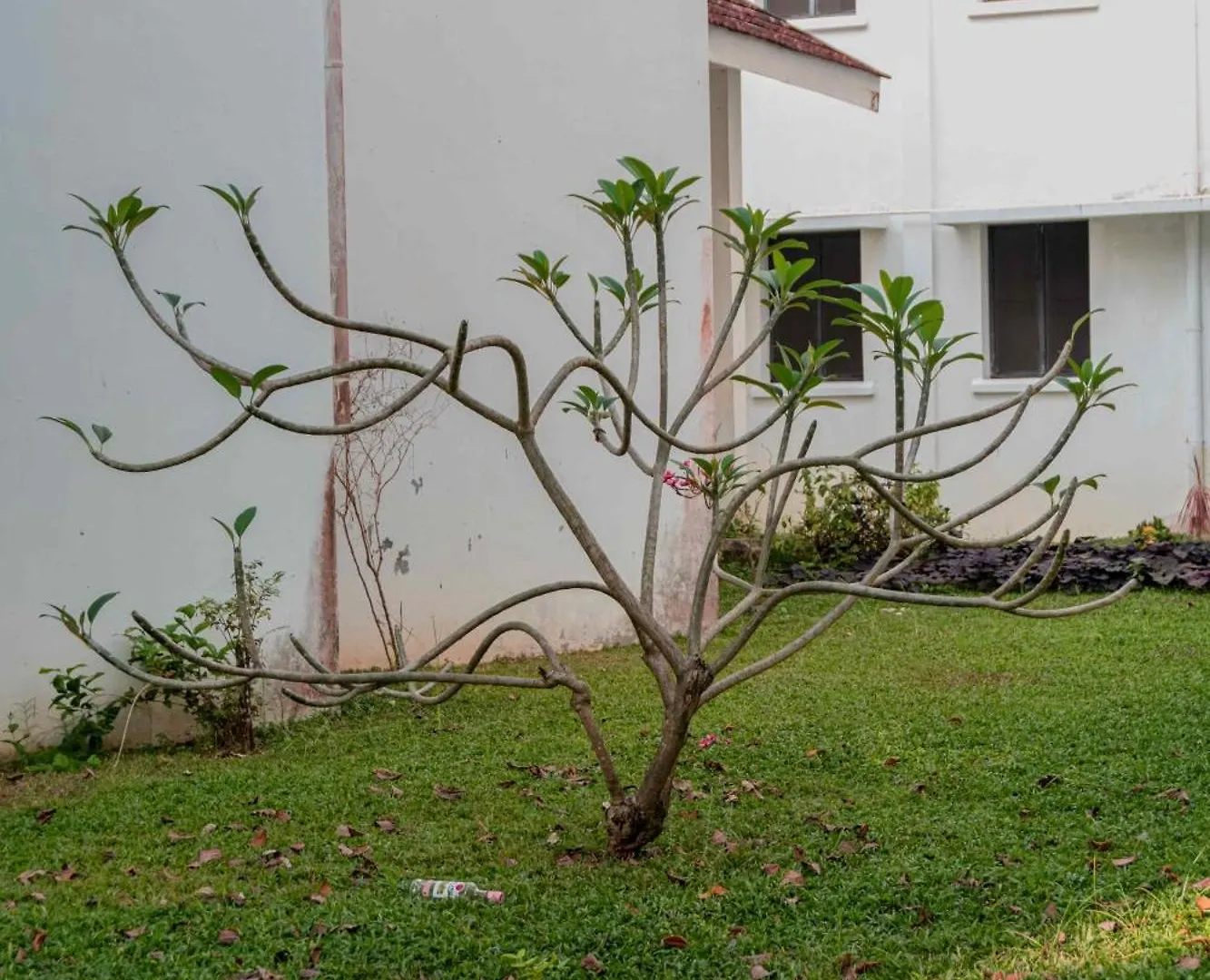Gama Heritage Residency Kochi